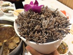 -犇鼎牛潮汕牛肉火锅(新辰里学清路店)