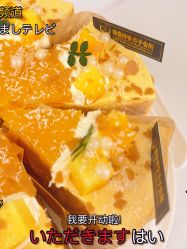 -瑞安母贝安月子会所