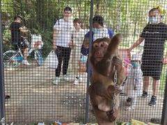 -长白岛森林公园