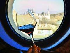 -北京张裕爱斐堡酒庄