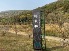 -龙寺生态园