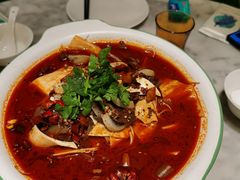 -雀蓝川菜(奥体广场店)