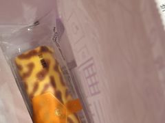 -元祖食品GANSO(常州新北区店)