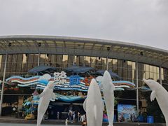 -海合安成都极地海洋公园