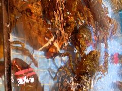 -79号渔船海鲜饭店(宝安店)