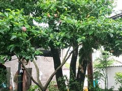 -李东农庄(中南百草园地标店)