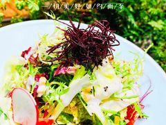 -森味薪火烧•烧鸟居酒屋•日本料理(望京店)