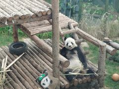 -大连森林动物园