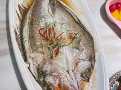 -茉莉餐厅(包河万达店)