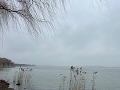 -漕湖湿地公园