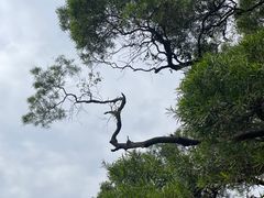 -广州市白云山风景名胜区