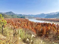 -夏霖九天银瀑风景区