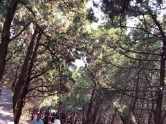 -青州市云门山风景区