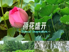 -沐仙湖湿地公园
