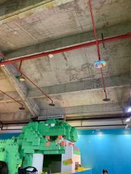 -恐龙探索乐园(磁器口店)