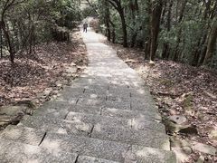 -西湖风景区十里琅珰-五云山