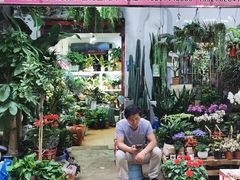 -循礼门鲜花花市(武汉循礼门店)