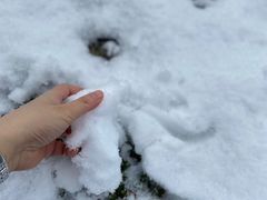 -明月山天沐温泉度假村