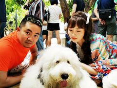 -TrueLove @ Neverland (Husky Cafe)