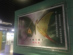 -上海昆虫博物馆