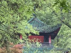 -茶颜悦色(岳麓山顶店)