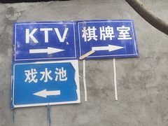 -桃源山庄·水蜜桃采摘·柴火鸡·烧烤团建(龙泉山店)