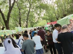 -元大都城垣遗址公园