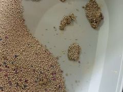 -谐和益家动物医院·免疫绝育·血液透析·宠保定点医院(高新伊藤分院)