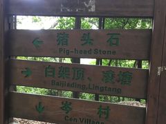 -火炉山森林公园