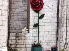 -华谊兄弟（长沙）电影小镇