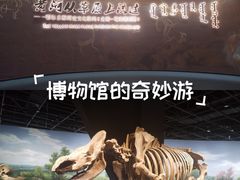 -鄂尔多斯博物馆