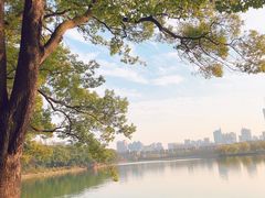 -食膳公园包子铺(烈士公园店)