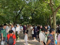 -人民公园-相亲角