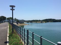 -洈水景区