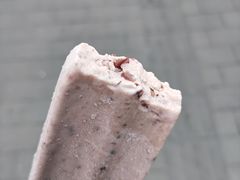 小豆冰棍-康乐