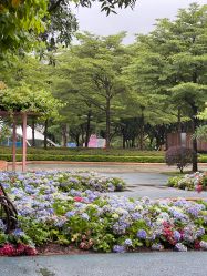 -广州市儿童公园