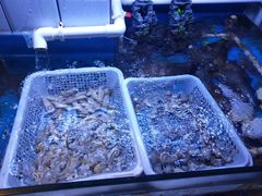 -路边摊小炉子烧烤