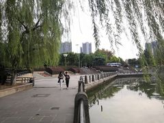 -月湖风景区