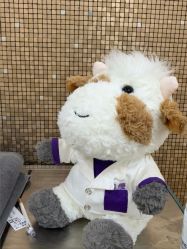 -上海首尔丽格医疗美容医院