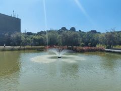 -深圳大学(丽湖校区)