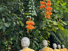 -西双版纳勐泐文化旅游区