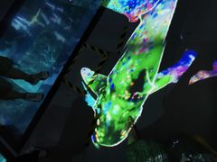 -暹罗海洋世界
