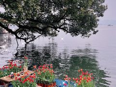 -湖畔居茶楼(湖滨店)