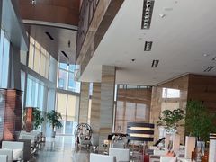 -君悦酒店·大堂酒吧·高空下午茶·暮色微醺