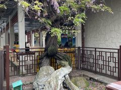 -郑和公园