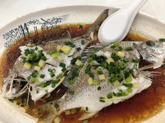 -阿四台山黄鳝饭(东门店)