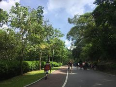 -火炉山森林公园