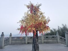 -南京市江宁方山
