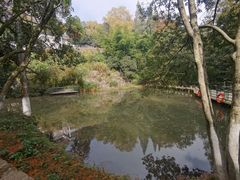 -莫干山风景区