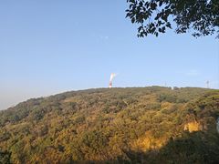 -平湖九龙山旅游度假区